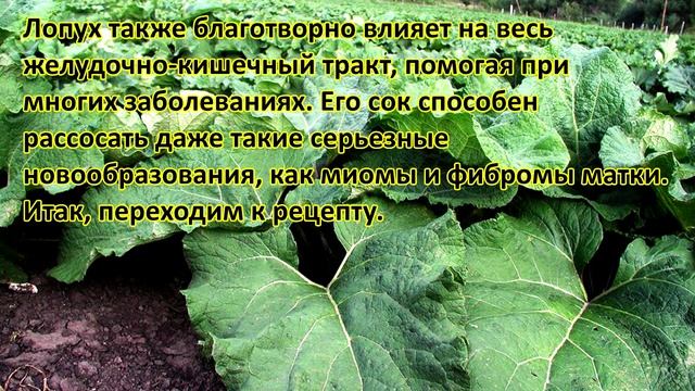 Домашний ужин для всей семьи 