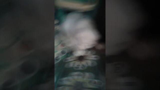 Злая кошка смотреть онлайн