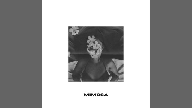 Mimosa смотреть онлайн