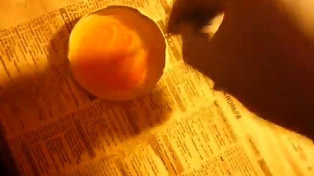 video1 смотреть онлайн