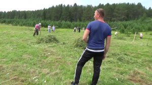 Гришестав. Арт-фестиваль «Сено-2017».Конкурс косарей. 3-й  конкурс.
