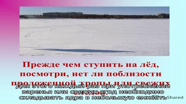 Польза кизила в лечении геморроя смотреть онлайн