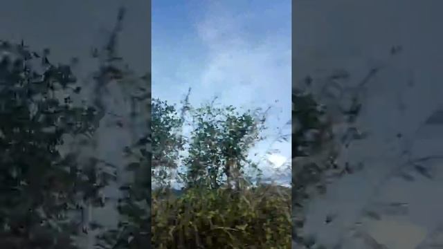 Timelapse of somewhere around south kalimantan смотреть онлайн