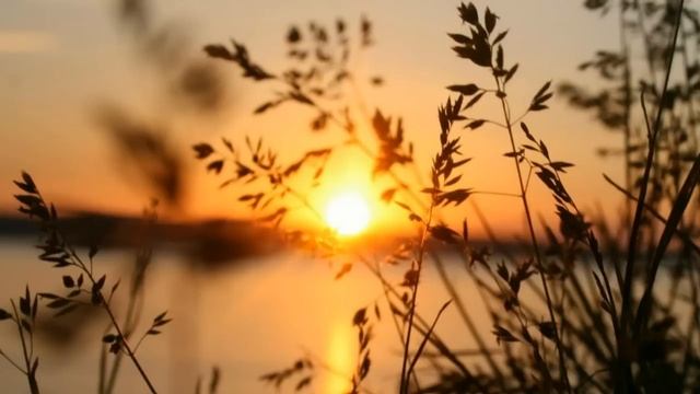 Молчание приоткрывает реальность смотреть онлайн