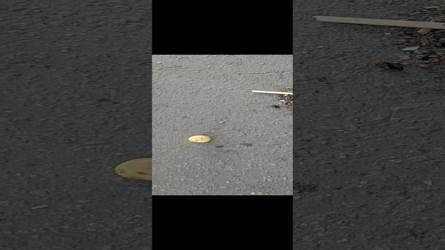 20230716_Крымские персики смотреть онлайн