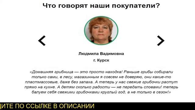 Грибы в домашних условиях смотреть онлайн