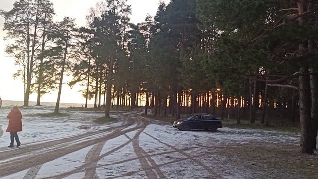 Прогулка в город Приморск. Поездка на дачу укрывать туи смотреть онлайн