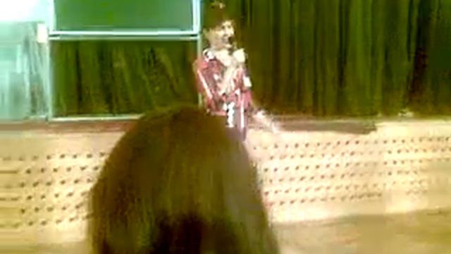 Выпускной. Часть 2 смотреть онлайн