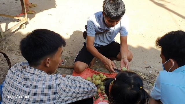 Full Video: Making a generator, Harvesting melons, peaches, and wild fruits to sell | Triệu Văn Tín смотреть онлайн