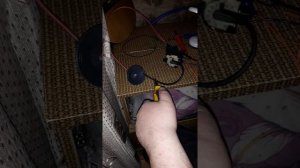 Электростатическое копчение с ТДКС