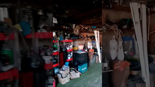 9 августа 2023 г. смотреть онлайн