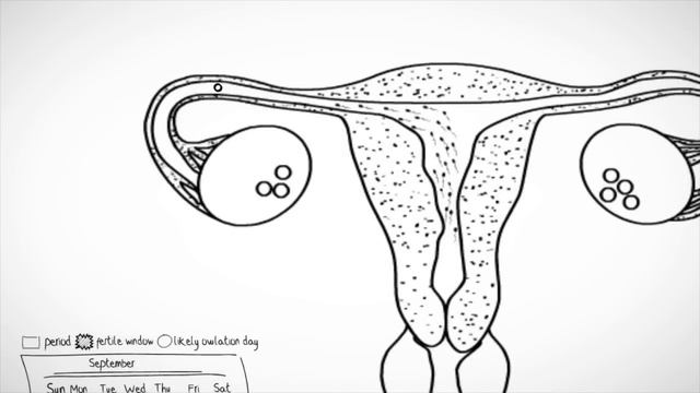 Trying To Conceive: Where to start? смотреть онлайн