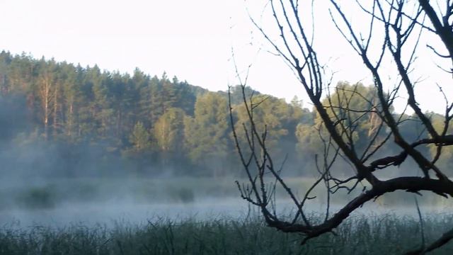 Озеро уходит в небо смотреть онлайн