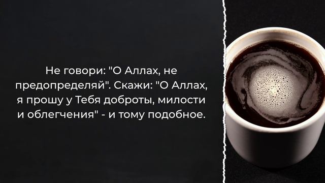 "О Аллах не предопределяй мне это" - можно ли так говорить? / Шейх аль-Фаузан / Шарх ас-Сунна (271) смотреть онлайн