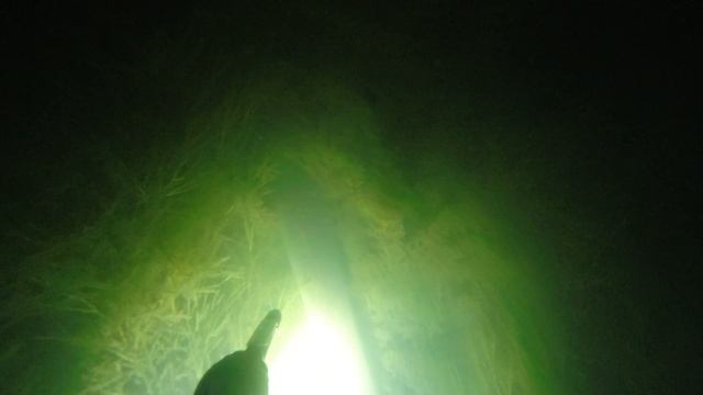 Охота на сома в августе 2021 год. Лето жара горячая вода. Подводная охота ночью на сома. смотреть онлайн