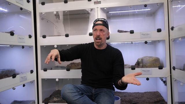 Lilith has died.. ( the truth ) смотреть онлайн