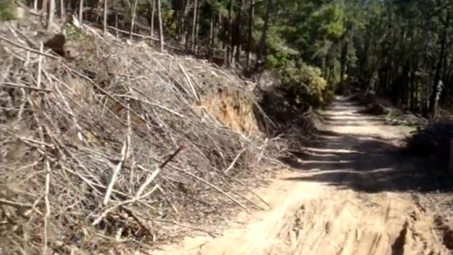 Tour Segway Sintra смотреть онлайн