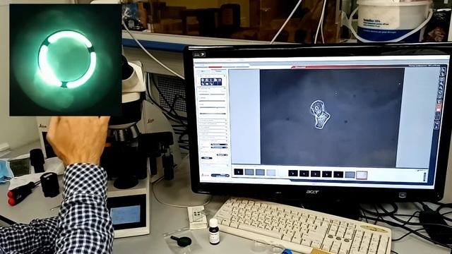 Оптическая Микроскопия. Практика 1.3. смотреть онлайн