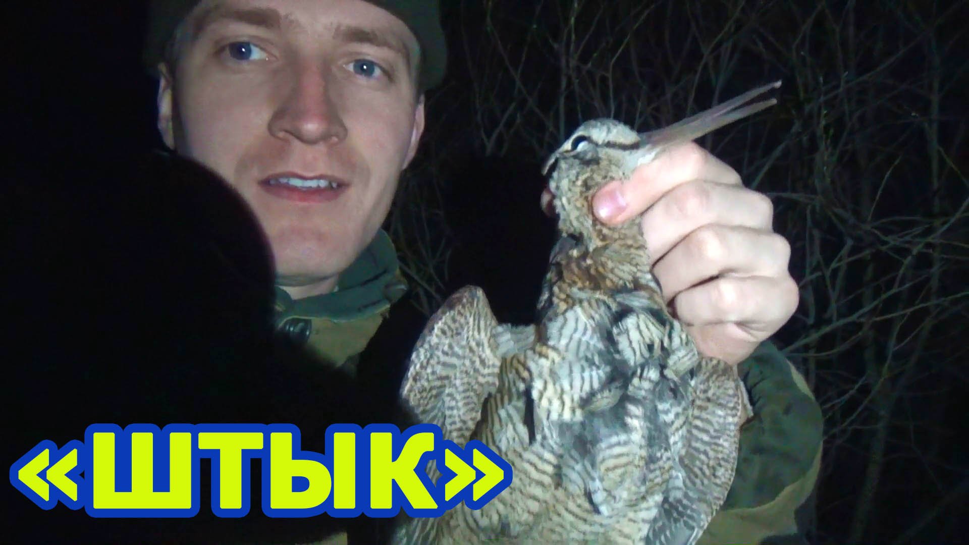 ОХОТА НА ВАЛЬДШНЕПА. ШТЫК.mp4 смотреть онлайн