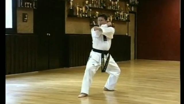 Пумсе Выше черного пояса - Джитай смотреть онлайн