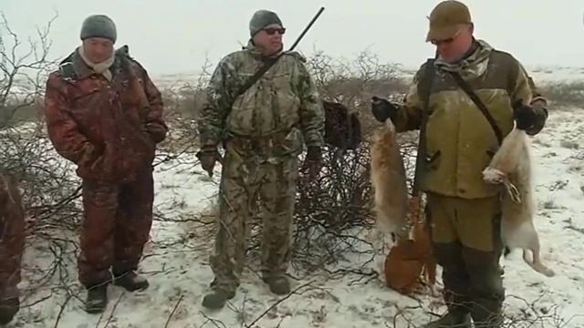 Охота на зайца в Белоруссии смотреть онлайн