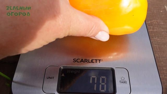 Перец сладкий МЕДОВЫЙ F1. Обзор сортов ПЕРЦЕВ! смотреть онлайн