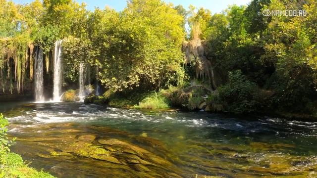 В 2023 году удача будет не на их стороне: Топ 3 знаков Зодиака смотреть онлайн