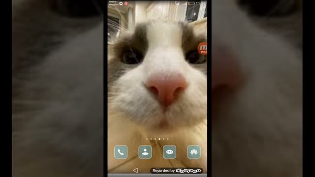 НУ ВОТ ЧТО МНЕ ДЕЛАТЬ?!Ч.О смотреть онлайн