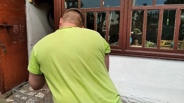 Делаю клетку для Шиншиллы