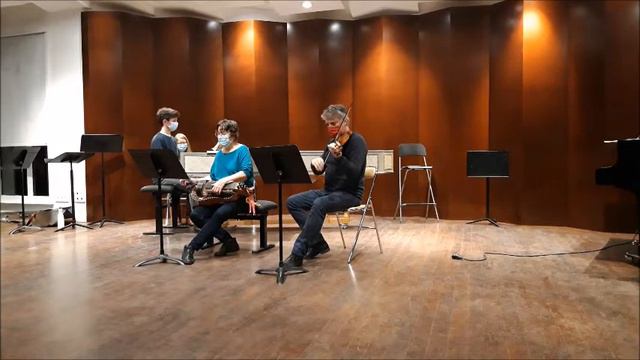 Wenceslaus-Joseph SPOURNI : 1ere sonate en trio Vielle-à-roue Violon Clavecin смотреть онлайн