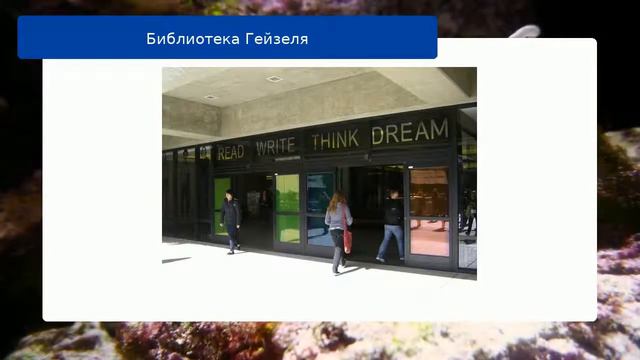 Библиотека Гейзеля смотреть онлайн