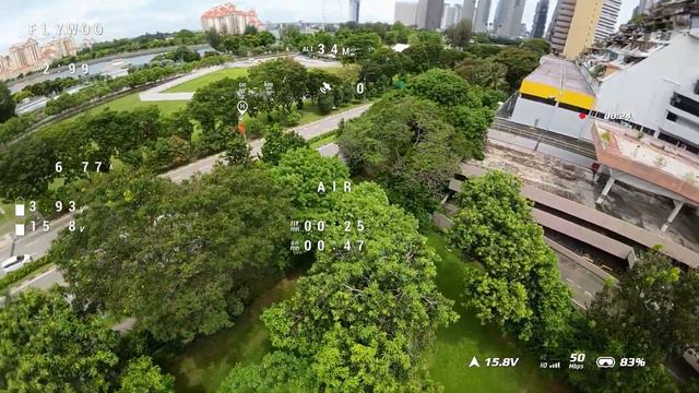 Flywoo CineRace20 Final Flight смотреть онлайн