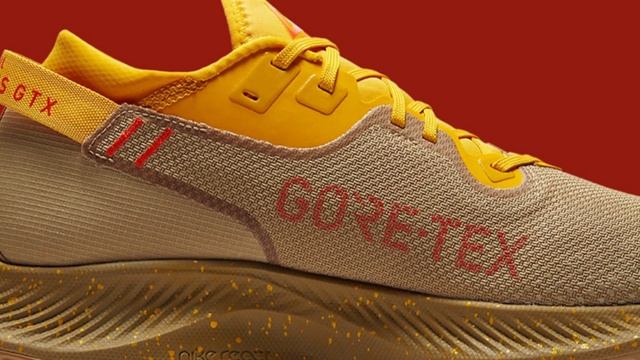 NIKE PEGASUS TRAIL 2 GORE TEX 'DARK SULFUR' | DETAILED LOOK| смотреть онлайн