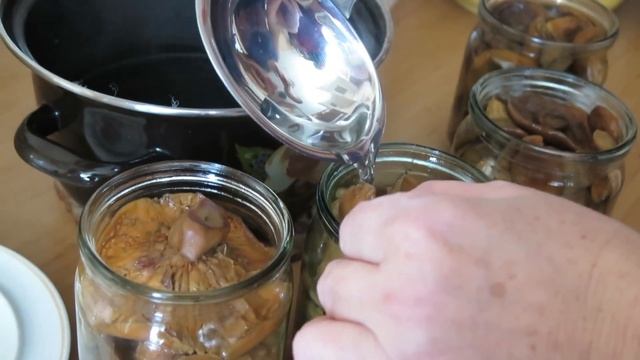 Как сохранить соленые грибы!???? смотреть онлайн
