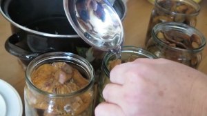 Как сохранить соленые грибы!????