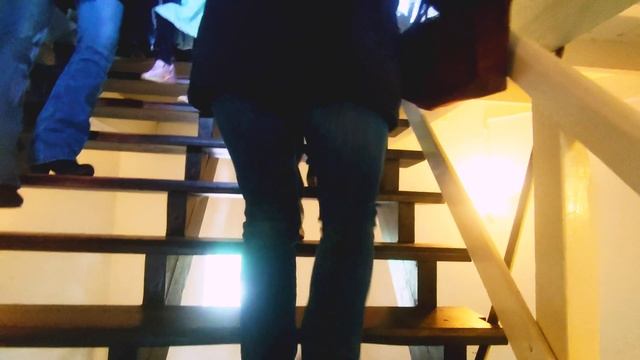 Кекенхоф, парк цветов в Нидерландах. Это надо увидеть хоть один раз в жизни! смотреть онлайн