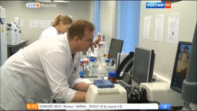 Виноградное масло смотреть онлайн