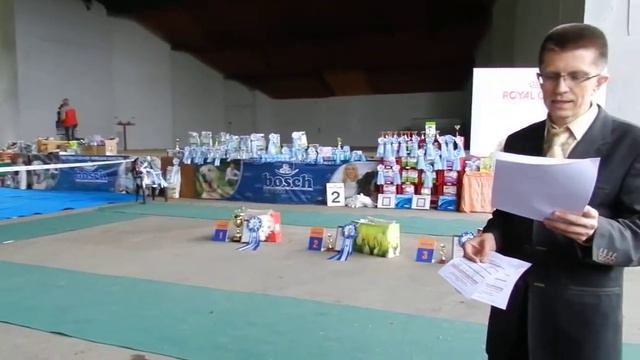 Награждение Лучших Шоу-собак Среднего Поволжья,Самара,21.09.2013.