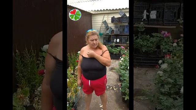 "Живое удобрение" - волшебная органика! смотреть онлайн