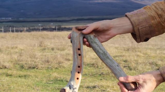 Двойная лесная флейта смотреть онлайн