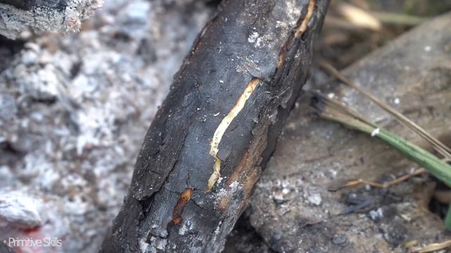Primitive Skills; You Need To Know How To Plant A Food, Watch This
