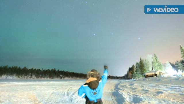 Aurora Burealis | Muonio, Finland