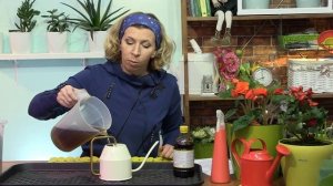 Можно ли использовать готовый биогумус из магазина ?