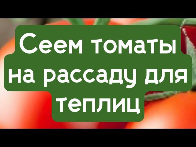 Сеем томаты на рассаду для теплиц 12.03.2023. смотреть онлайн