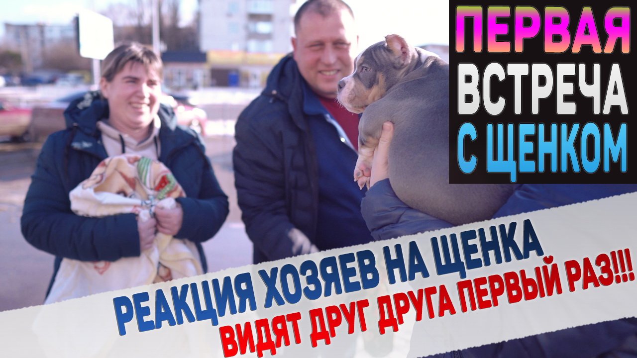 Щенки уезжают в новые дома! Как их встретят и какие клички дадут? Первые кадры из дома! смотреть онлайн