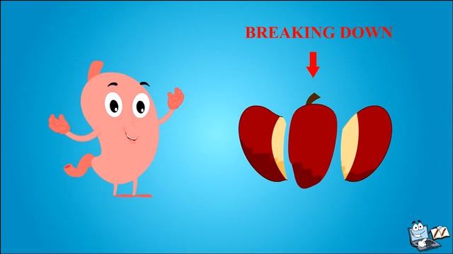 Digestive System - video for kids смотреть онлайн