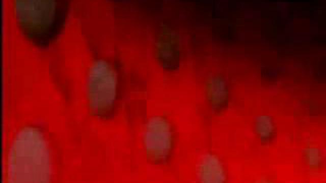 Interstella 5555 (11/14)