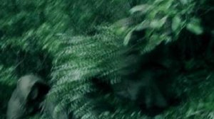 агата кристи звездочет