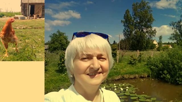 Отдых в деревне. Калининградская область смотреть онлайн