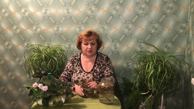 Бананы как удобрение не заменимы смотреть онлайн